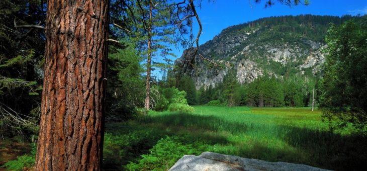 开云平台-佩德里状态火热，沙特生死战爆冷取胜荷兰改写世界杯格局