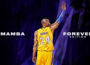 开云世界杯2026-字母哥统治全场，湖人硬仗取胜广东队，一场跨越时空的篮球盛宴