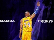 开云世界杯2026-字母哥统治全场，湖人硬仗取胜广东队，一场跨越时空的篮球盛宴