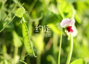 开云体育下载-文班亚马彻底打爆防线！广厦队对阵奇才的战术启示